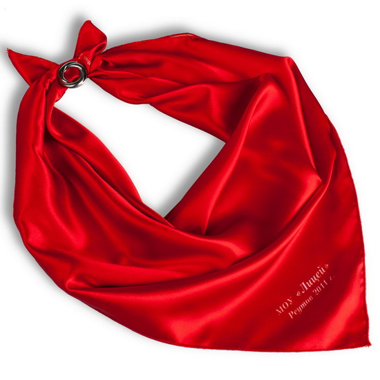 Платок с логотипом. Шармус Люкс ткань. Красные платки. Красный шейный платок. Шарф с логотипом.
